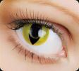 OKVision Crazy Yellow cat eye